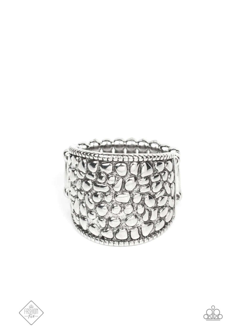 Paparazzi Dotted Decorum- Silver